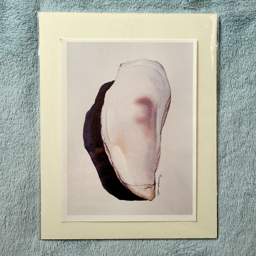 Oyster Shell, Seashell, Fine Art Print